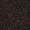 StainFree Caress Carpet