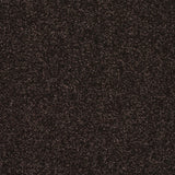 StainFree Caress Carpet