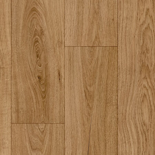 Foundations - New Forest Vinyl Flooring – by Balta – 1