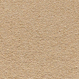 Kesari - Crown Jewels Carpet – by Balta Flooring – 1