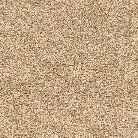 Kesari - Crown Jewels Carpet – by Balta Flooring – 1