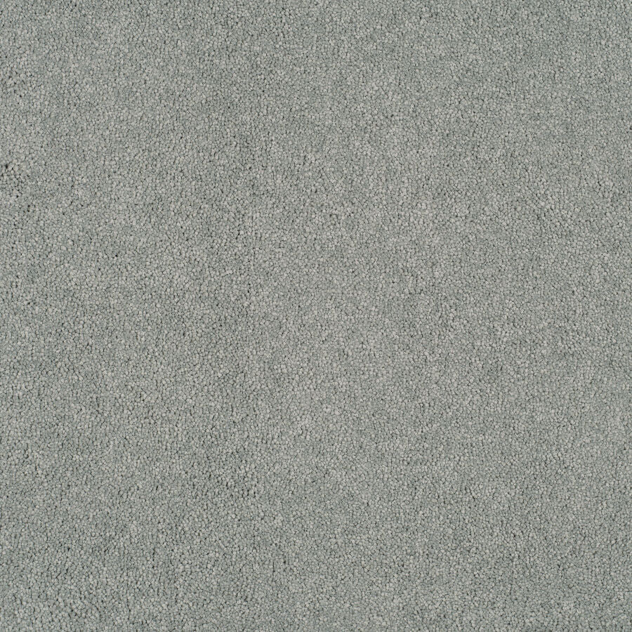 Magical Feeling Deep Pile - After Rain  Carpet – by Balta Flooring – 1