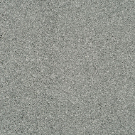 Magical Feeling Deep Pile - After Rain  Carpet – by Balta Flooring – 1