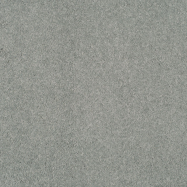 Magical Feeling Deep Pile - After Rain  Carpet – by Balta Flooring – 1