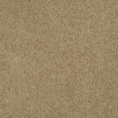Magical Feeling Deep Pile - Camel Coat Carpet – by Balta Flooring – 1