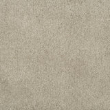 Magical Feeling Deep Pile - Delicate Touch  Carpet – by Balta Flooring – 1