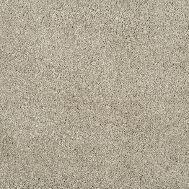 Magical Feeling Deep Pile - Delicate Touch  Carpet – by Balta Flooring – 1