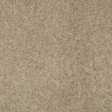 Magical Feeling Deep Pile - Furry Beige  Carpet – by Balta Flooring – 1