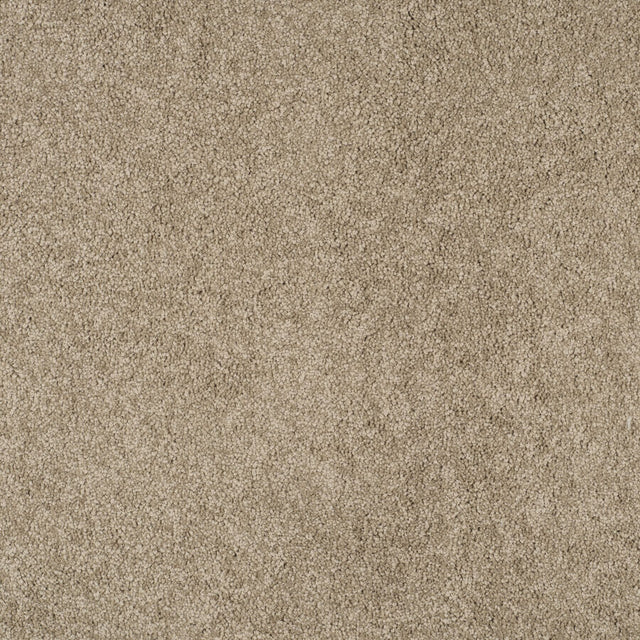 Magical Feeling Deep Pile - Furry Beige  Carpet – by Balta Flooring – 1
