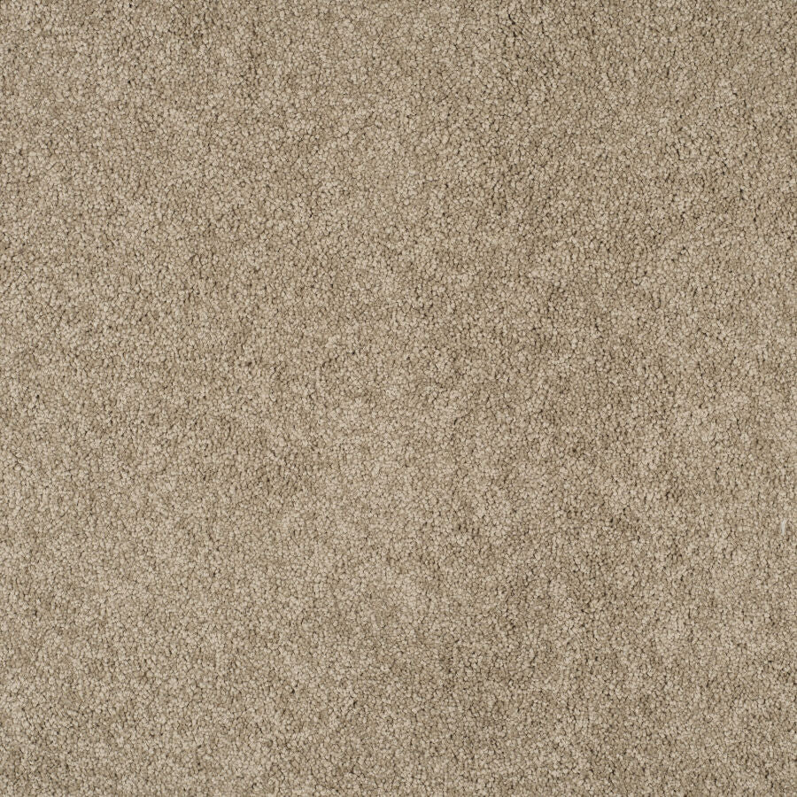 Magical Feeling Carpet