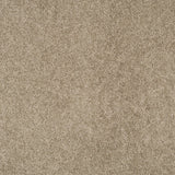 Magical Feeling Carpet