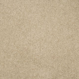 Magical Feeling Deep Pile - Ibis White  Carpet – by Balta Flooring – 1