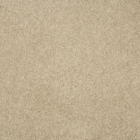 Magical Feeling Deep Pile - Ibis White  Carpet – by Balta Flooring – 1