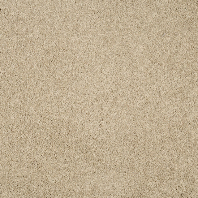 Magical Feeling Deep Pile - Ibis White  Carpet – by Balta Flooring – 1