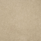 Magical Feeling Carpet