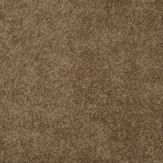 Magical Feeling Deep Pile - Jute Brown  Carpet – by Balta Flooring – 1