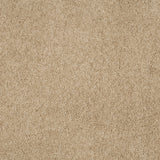 Magical Feeling Deep Pile - Muffin Delight  Carpet – by Balta Flooring – 1
