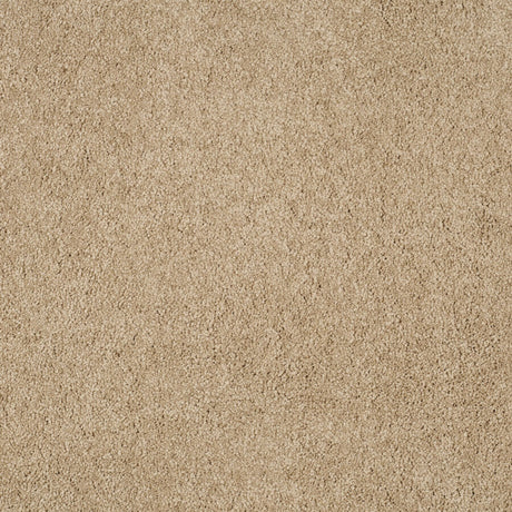 Magical Feeling Deep Pile - Muffin Delight  Carpet – by Balta Flooring – 1