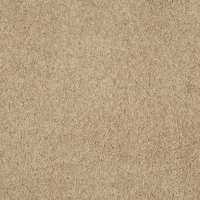 Magical Feeling Deep Pile - Muffin Delight  Carpet – by Balta Flooring – 1