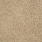 Magical Feeling Carpet