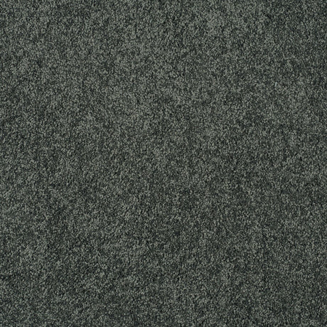 Magical Feeling Deep Pile - Shadowland  Carpet – by Balta Flooring – 1