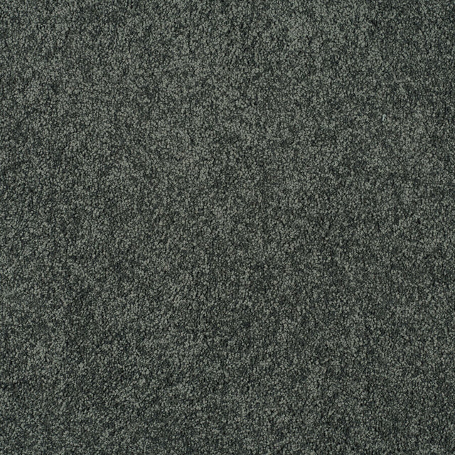 Magical Feeling Deep Pile - Shadowland  Carpet – by Balta Flooring – 1