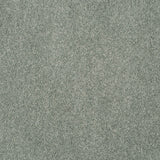 Magical Feeling Deep Pile - Tidewater  Carpet – by Balta Flooring – 1