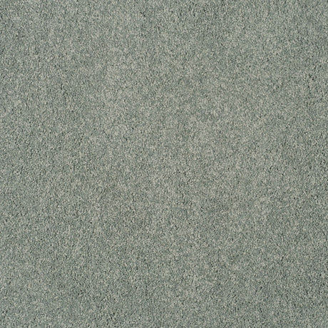 Magical Feeling Deep Pile - Tidewater  Carpet – by Balta Flooring – 1