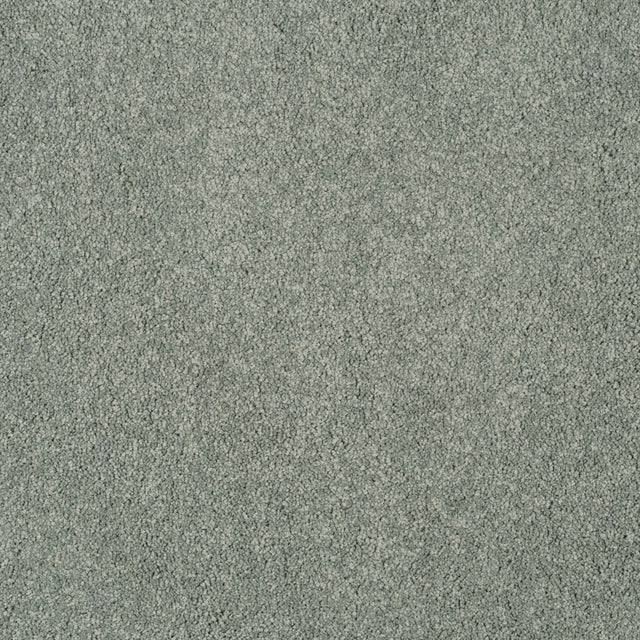 Magical Feeling Deep Pile - Tidewater  Carpet – by Balta Flooring – 1