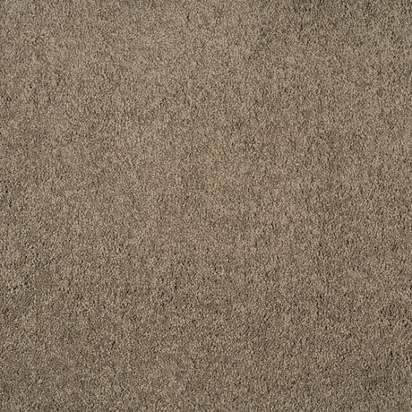Magical Feeling Deep Pile - Warm Mocha  Carpet – by Balta Flooring – 1