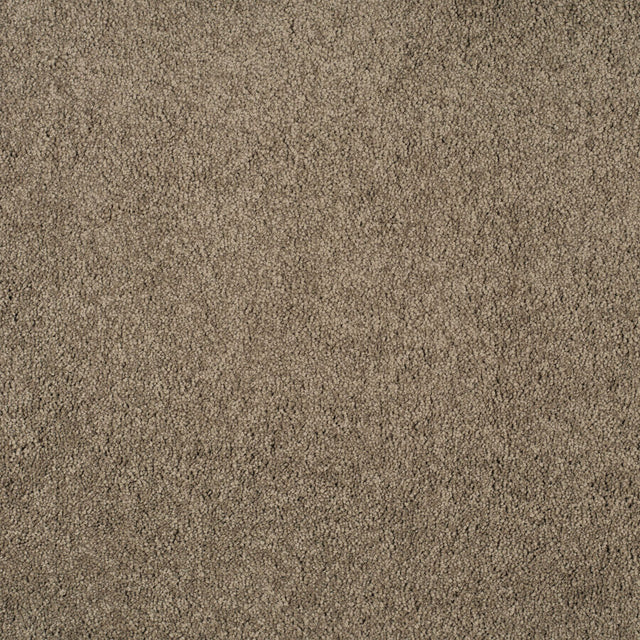 Magical Feeling Deep Pile - Warm Mocha  Carpet – by Balta Flooring – 1