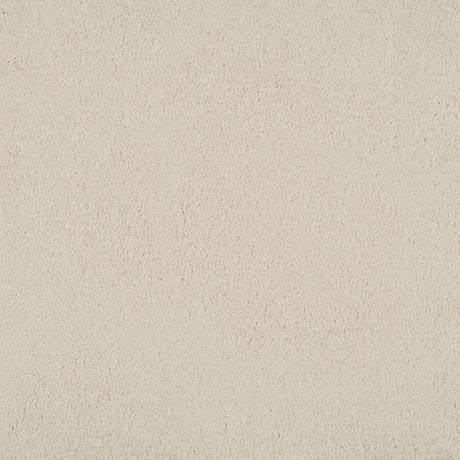 Magical Feeling Deep Pile - White Ivory  Carpet – by Balta Flooring – 1