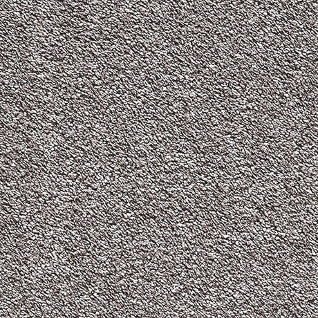 Satino Royale - Greige Carpet – by Balta Flooring – 1