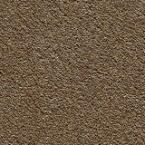 Satino Royale - Little Bear Carpet – by Balta Flooring – 1