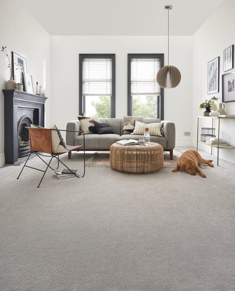 Kingsmead Bliss - Frosted Steel Carpet – by Kingsmead Carpets – 2