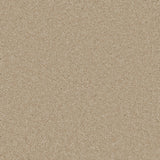 Bliss Deep Pile Carpet