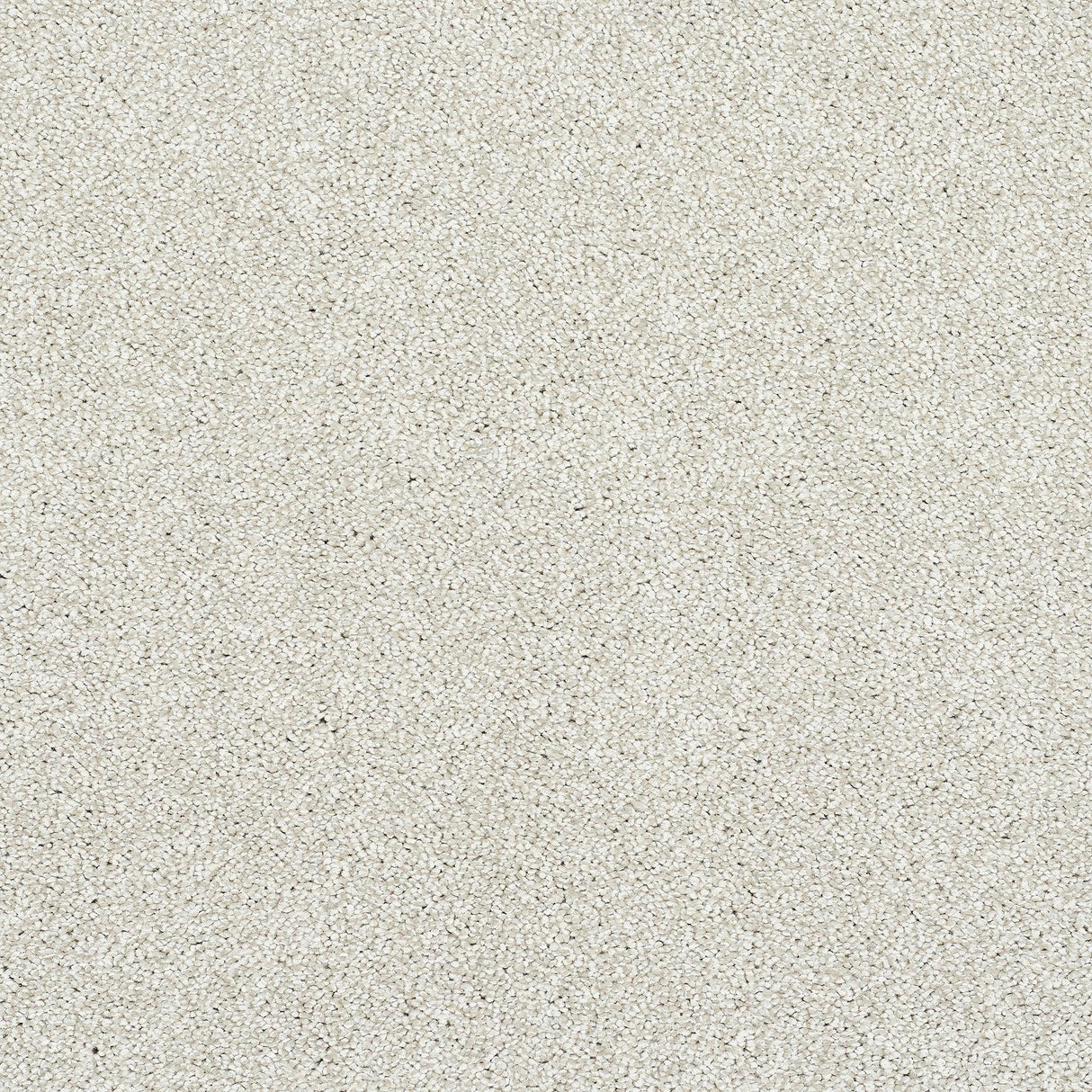 Abingdon Stainfree Caress - Champagne Carpet