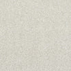 StainFree Caress Carpet