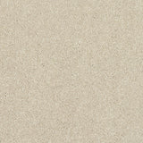Abingdon Stainfree Caress - Cotton Carpet