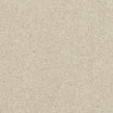 StainFree Caress Carpet