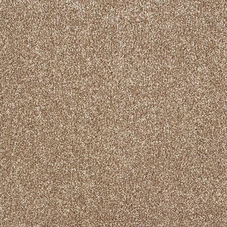 Abingdon Stainfree Indulgence - Cappuccino Carpet – by Abingdon Flooring – 1