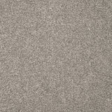 Furlongs Charme - Mist Carpet