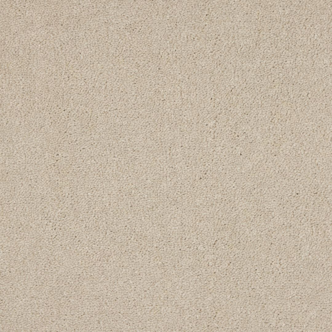 Euphoria Saxony- Cloud Mist Carpet – by Abingdon Flooring – 1