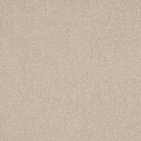 Euphoria Saxony- Cloud Mist Carpet – by Abingdon Flooring – 1