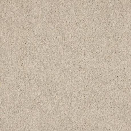 Euphoria Saxony- Cloud Mist Carpet – by Abingdon Flooring – 1