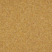 Charter Berber Loop Carpet