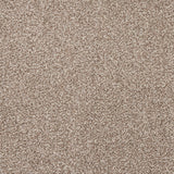 StainFree Affluence Carpet