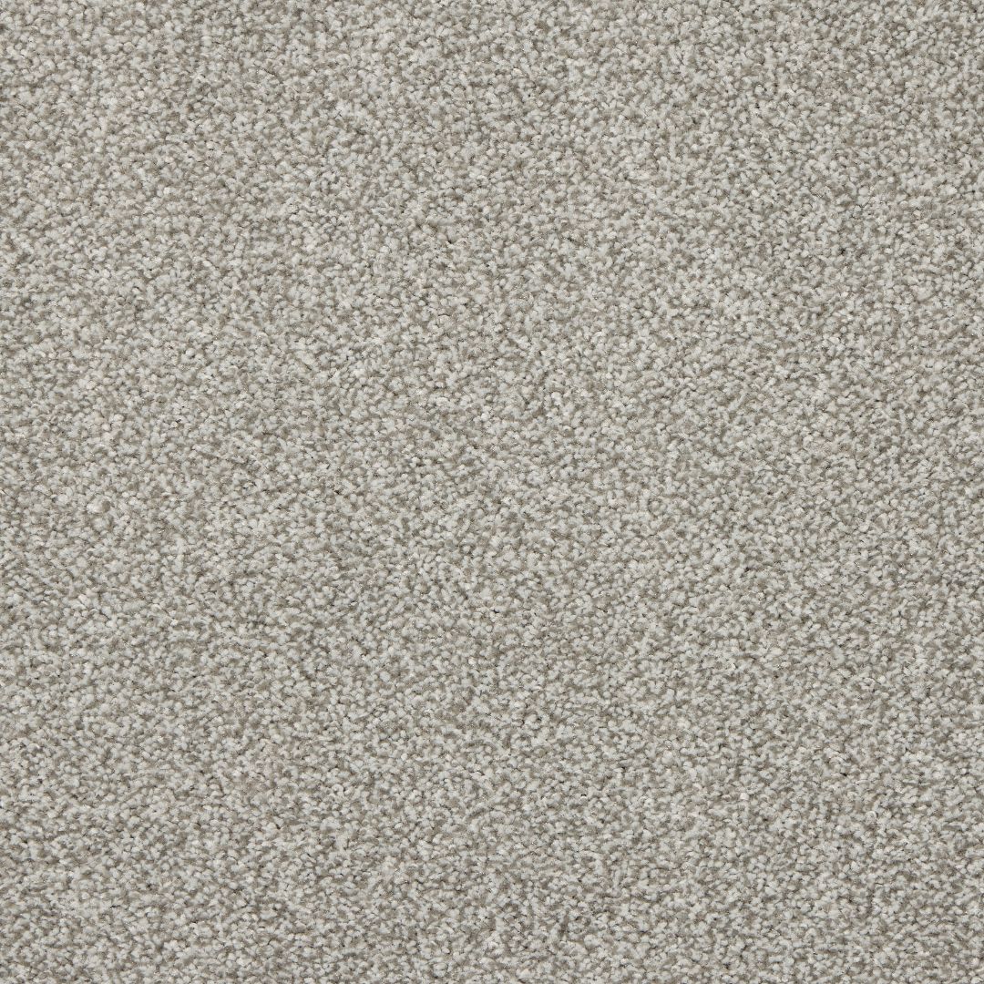 StainFree Affluence Carpet