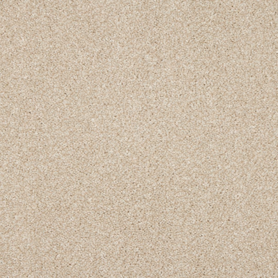 StainFree Affluence Carpet