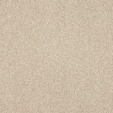 StainFree Affluence Carpet